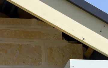 soffit repair Castle Town
